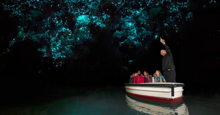 Waitomo Glowworm Caves
