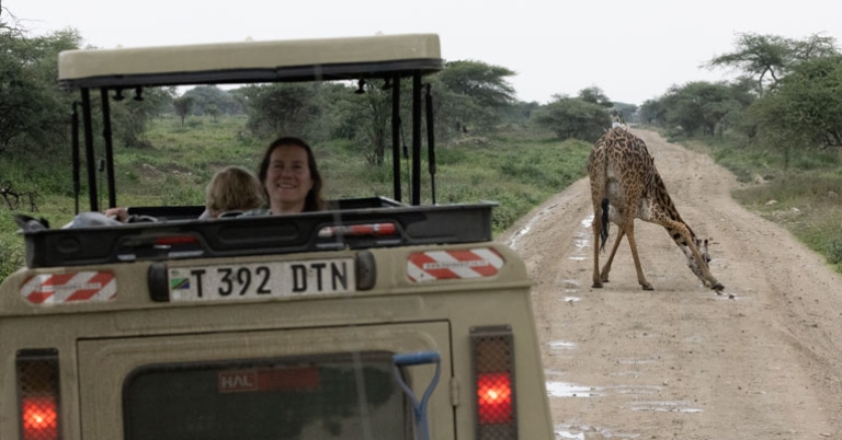 Wildlife-viewing drive