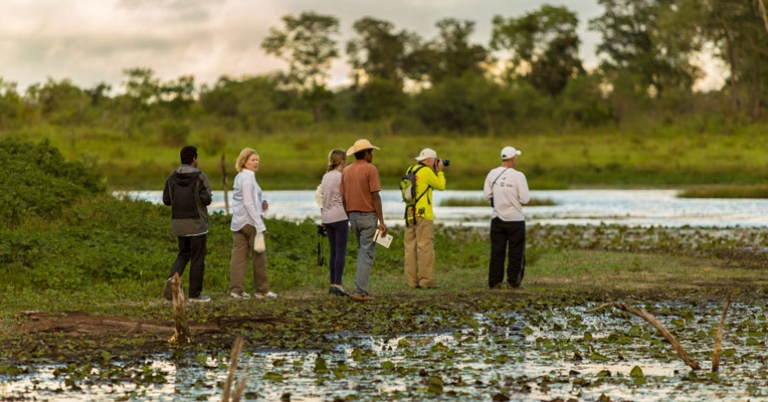 Photography in the Pantanal