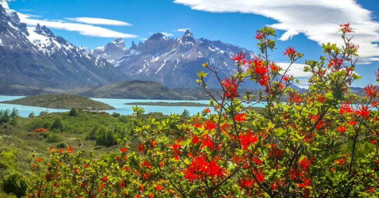 Torres del Paine