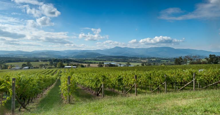 Yarra Valley