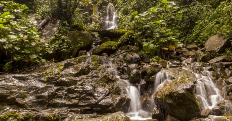 Waterfall in the Savegre cloud forest