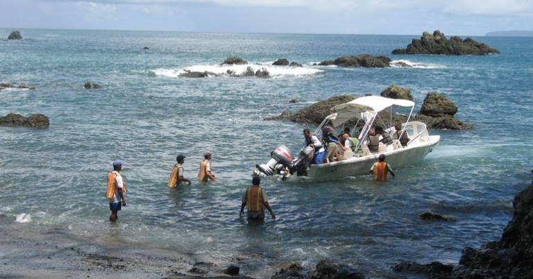 Students assisting with marine mammal research