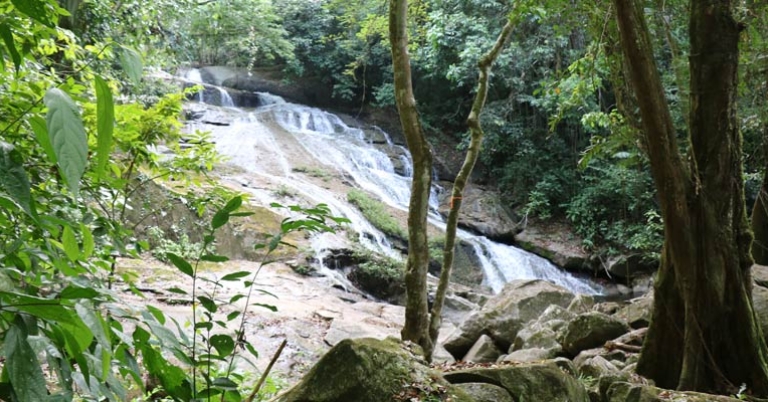 Mayflower Bocawina National Park