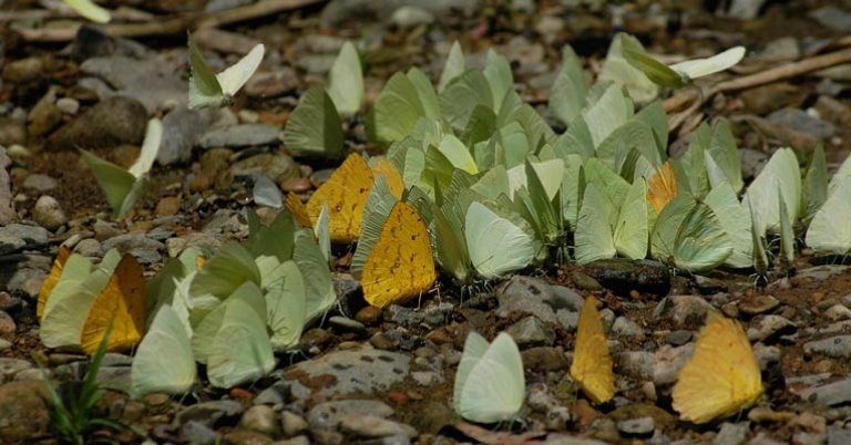 Photo by Joaquin Garcia