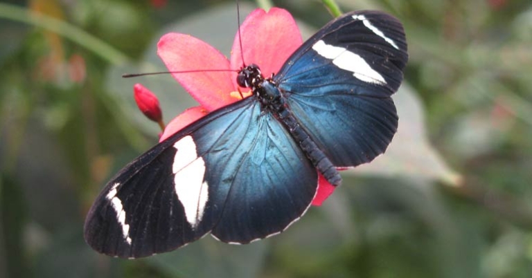 Photo by Christa Markley