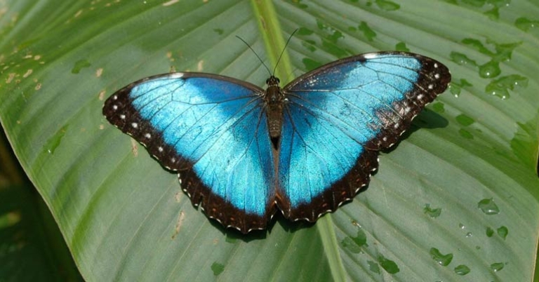 Photo by Lauren González