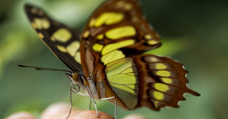 Photo by Stefanie Plein