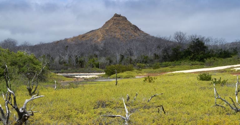 Dragon Hill, Santa Cruz Island