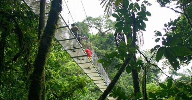 Cloud Forest Sky Walk at Villa Lapas, Tarcoles 
