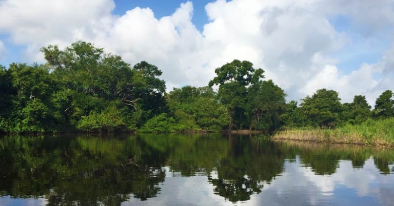 Crooked Tree Wildlife Sanctuary