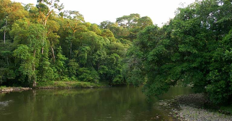 Sarapiquí River