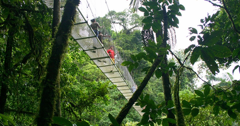 Suspension bridge at Selva Verde Lodge
