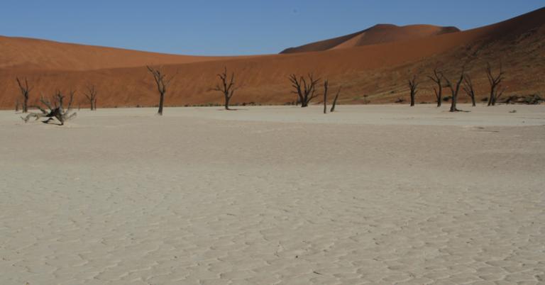 Dead Vlei