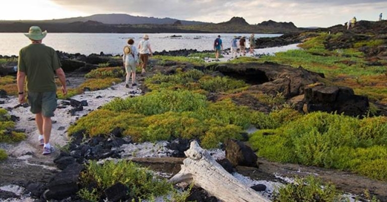 Go with a group to the Galapagos