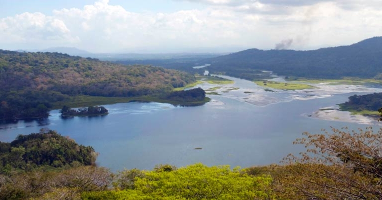 Birding in Gamboa Rainforest 