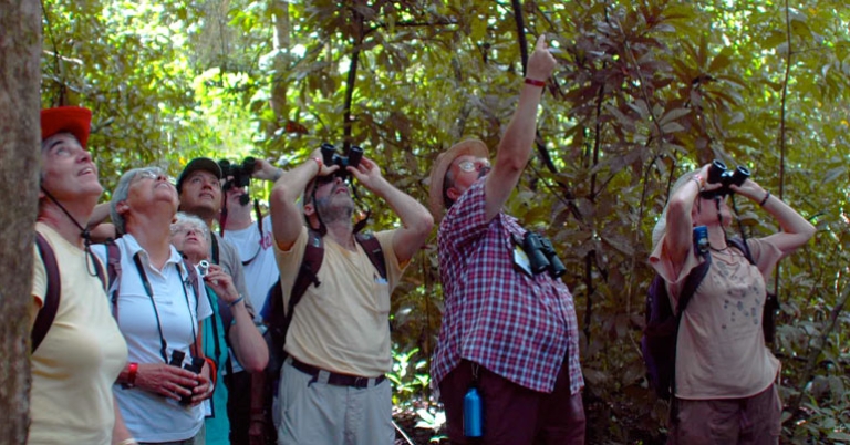 Hiking in Carara National Park