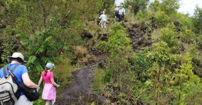 Hiking in Arenal National Park