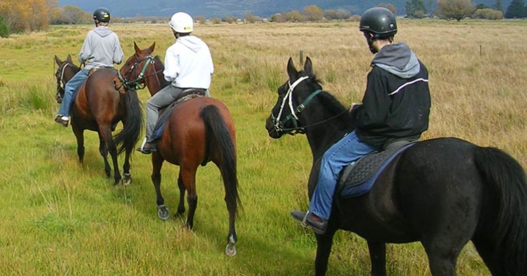 Horseback riding