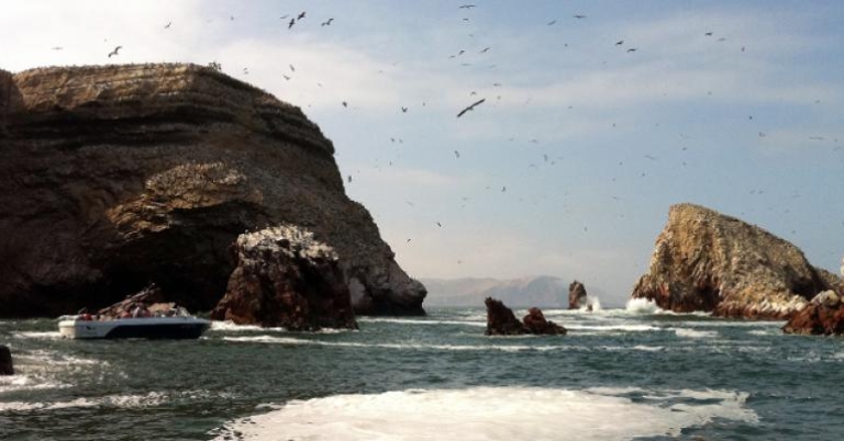 Ballestas Island