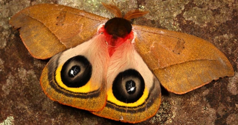 Photo by Ann & Rob Simpson