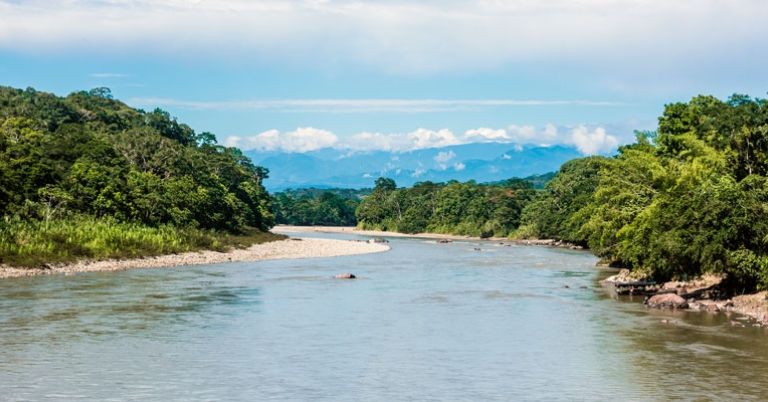 Napo River in the Ecuadorian Amazon