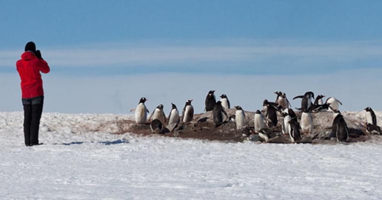 Photography in Antarctica