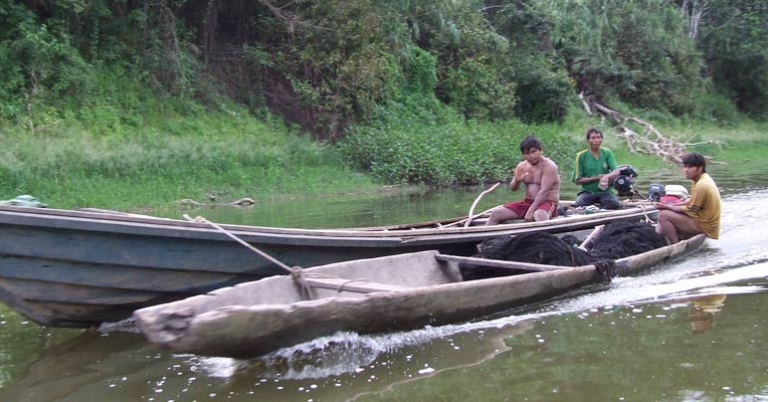 Canoes on the river