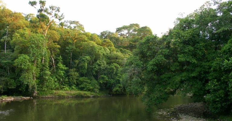 Sarapiqui River