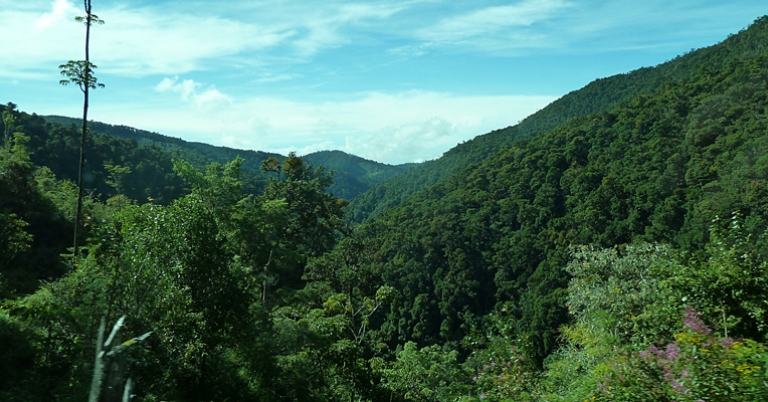 Mountain landscape around Savegre