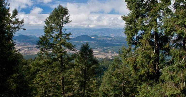 Breathtaking view of Mexico