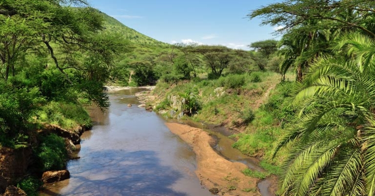 River in the Serengeti