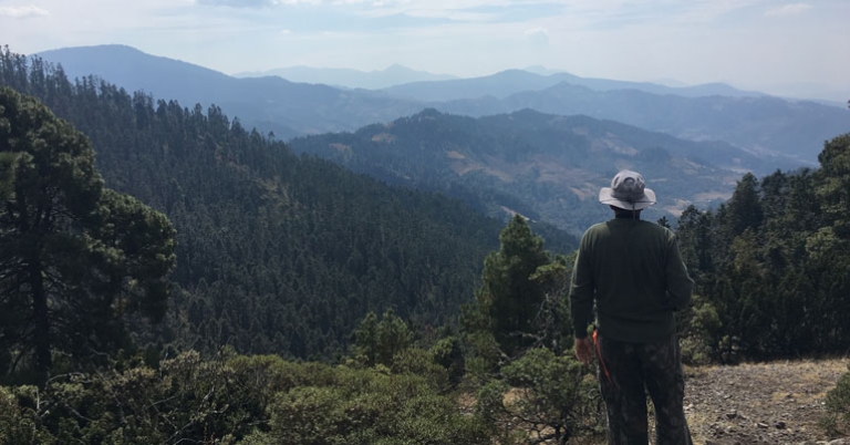 Scenery at Sierra Chincua