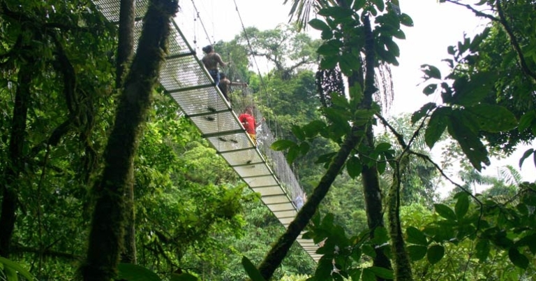 Suspension bridge at Selva Verde Lodge