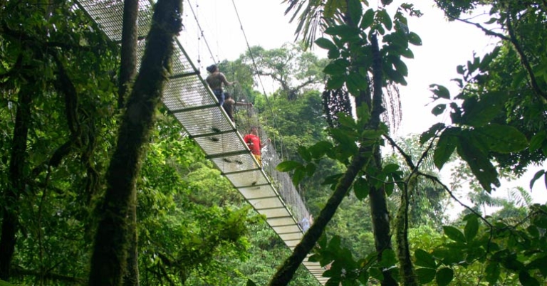 Suspension bridge at Selva Verde Lodge