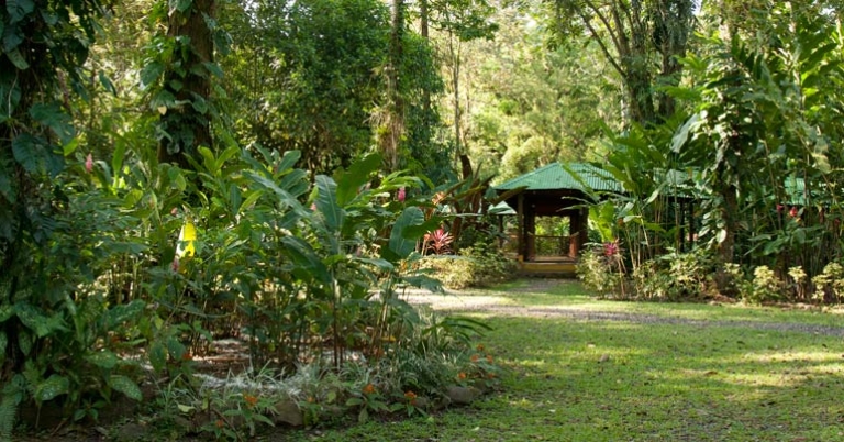 Selva Verde Lodge gardens