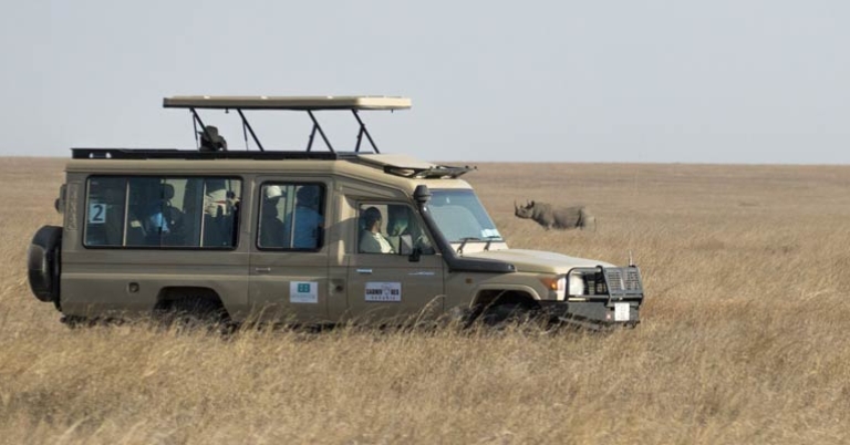 Wildlife-viewing drive