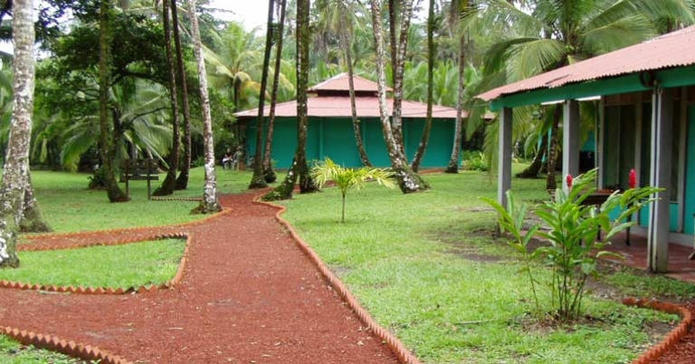 Sea Turtle Conservancy grounds