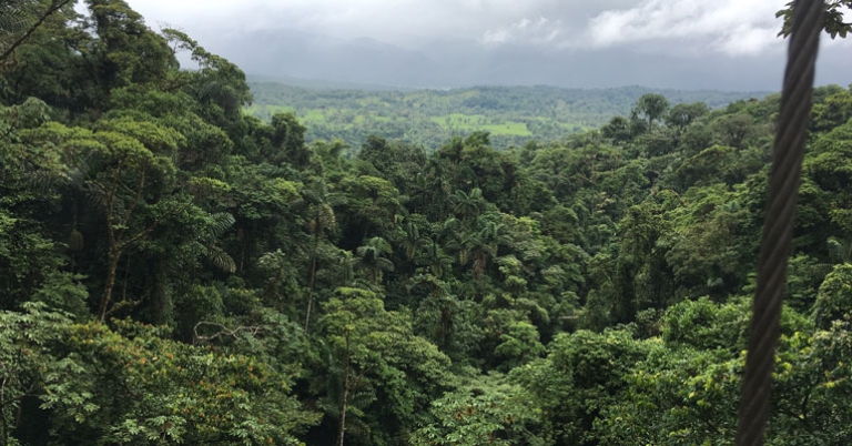 View of the forest canopy at Arenal Hanging Bridges