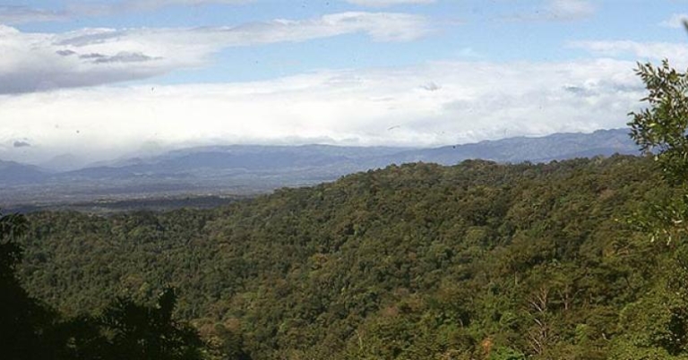 Are surrounding Villa Lapas, Tarcoles