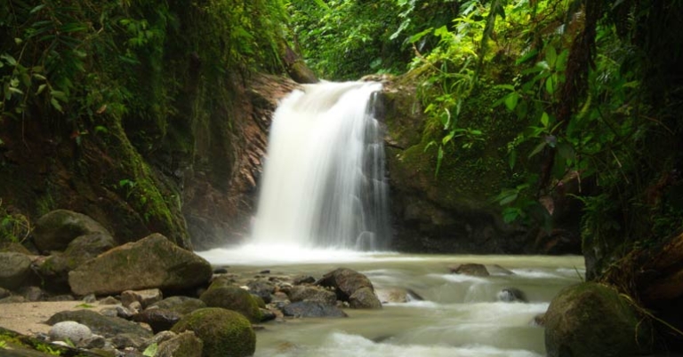 Waterfall in Podocarpus National Park