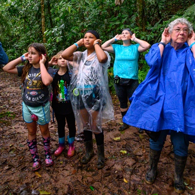 Rainforest hike activity
