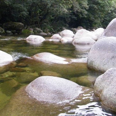 Daintree River valley