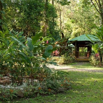 Selva Verde Lodge gardens