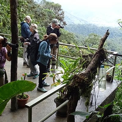 People using cameras and binoculars on a platform overlooking a forested valley