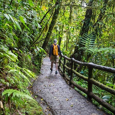 Person hiking on paved trail with a guardrail on the right and trees and vegetation on both sides