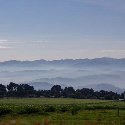 landscape view of grass, trees, and mountains in the distance