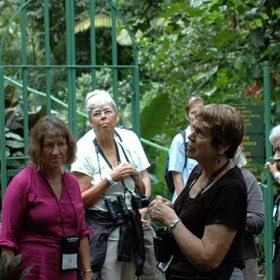 A group of adults listens to a guide talking in the rainforest