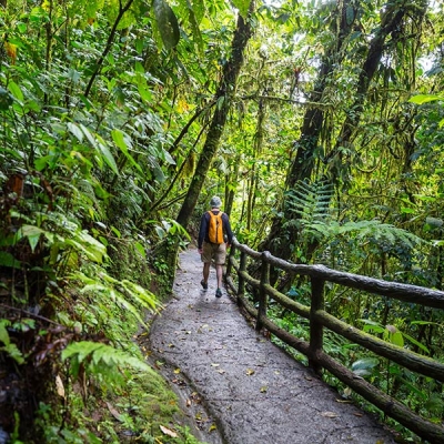 Person hiking on paved trail with a guardrail on the right and trees and vegetation on both sides