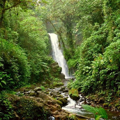 Waterfall in the forest